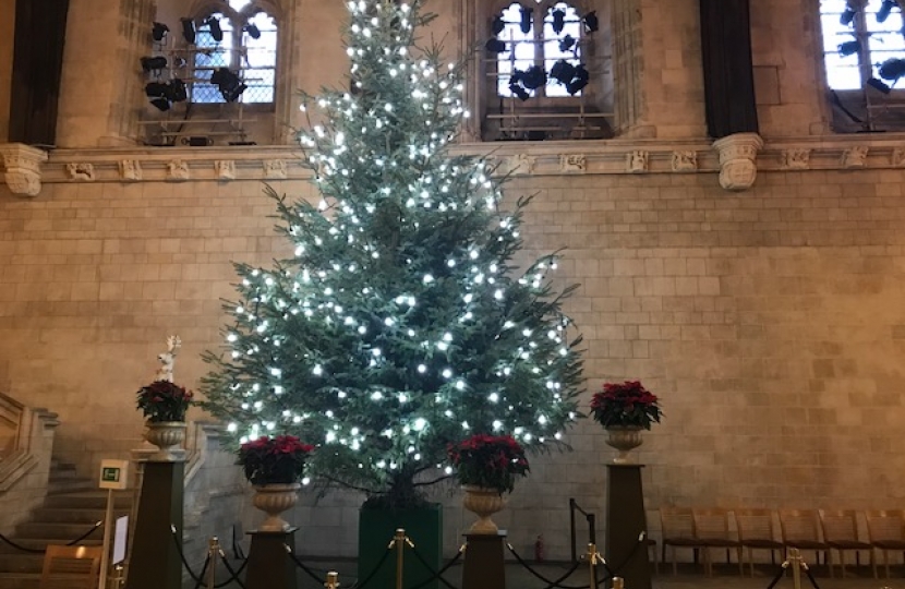 Parliament's Christmas Tree