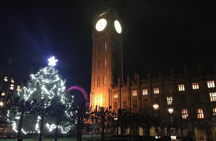 Parliament’s Christmas Tree
