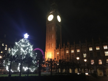 Parliament’s Christmas Tree